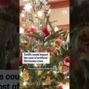 Tariffs could impact the cost of artificial Christmas trees