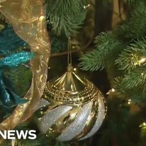 Tariffs, economic pressures raise prices on holiday decorations