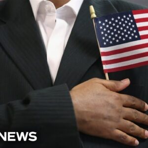 U.S. immigration agency to re-examine green card holders from countries of ‘concern’