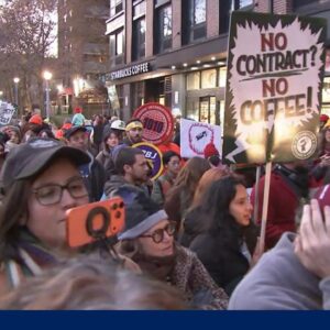 Union Starbucks workers launch strikes on company’s ‘Red Cup Day’