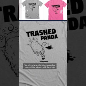 Animal shelter raises more than $150,000 selling drunk raccoon merchandise