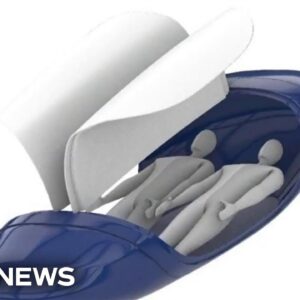 Controversial 'suicide pod' could potentially use AI-powered feature