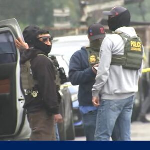 Shots fired during immigration raid after suspect tried to ram agents with car: DHS