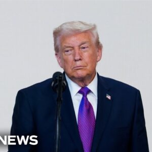 Trump trying to point election ‘grievances’ in direction Republicans can support