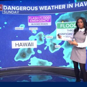 Flash flood emergency impacting Hawaii's Oahu Island