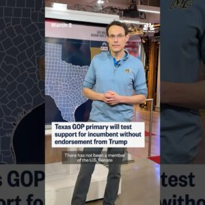 Texas GOP primary will test support for incumbent without endorsement from Trump