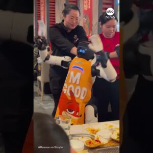 Restaurant staff forced to restrain dancing robot run amok