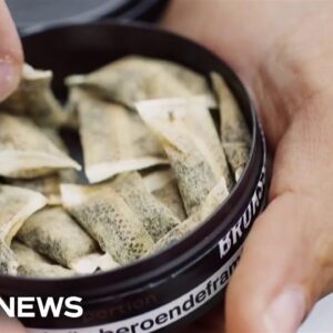 Popular nicotine pouches featured in ad campaign against addictive products