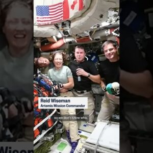 Artemis astronauts on who would play them in a movie