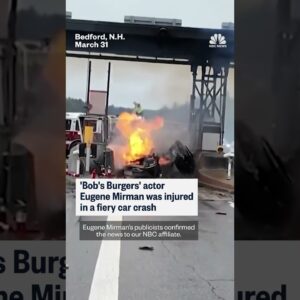 'Bob's Burgers' actor Eugene Mirman was injured in a fiery car crash