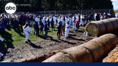 Chaotic scene outside dog breeding and research site