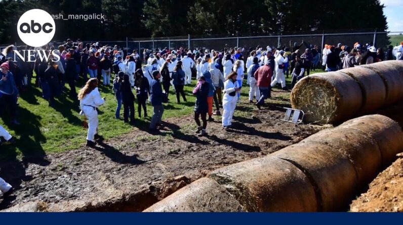 Chaotic scene outside dog breeding and research site