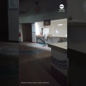 Crocodile caught on camera climbing into hotel kitchen in Zimbabwe