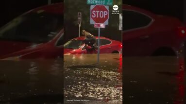 Driver climbs out car window to escape Fort Worth flooding