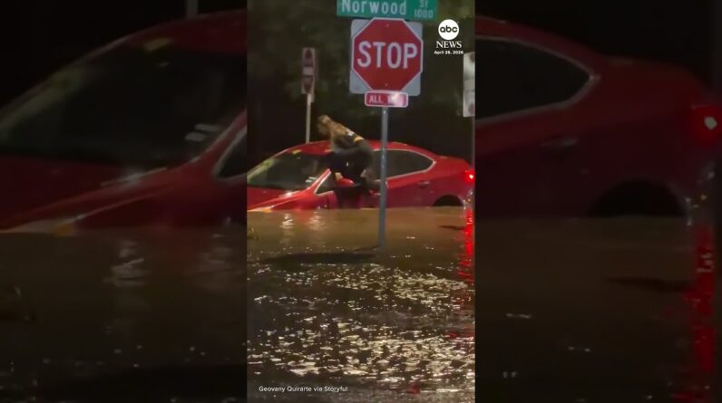 Driver climbs out car window to escape Fort Worth flooding