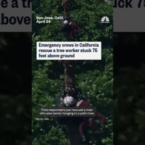First responders rescue a tree worker trapped 75 feet above ground