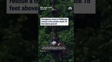 First responders rescue a tree worker trapped 75 feet above ground