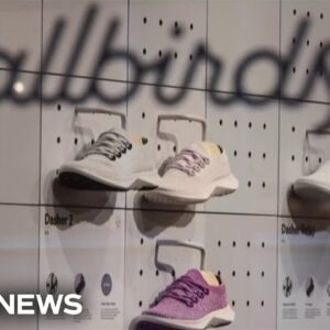 From shoes to AI: Why Allbirds is pivoting and changing its business
