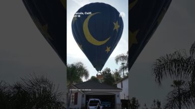 Hot-air balloon makes emergency landing in backyard