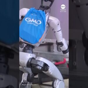 Japanese airport trials robot baggage handler