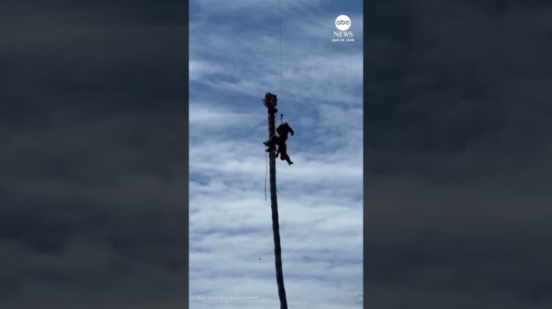 Worker rescued after suffering medical emergency while trimming palm tree