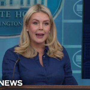 Leavitt: Trump threw Iran's original 10-point plan 'in the garbage'