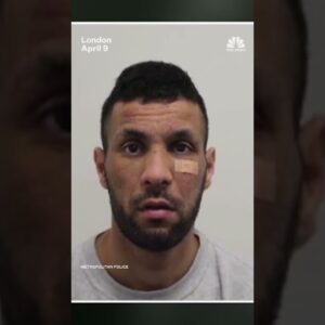 Man jailed for stealing handbag containing a Fabergé egg and watoh worth nearly $3 million