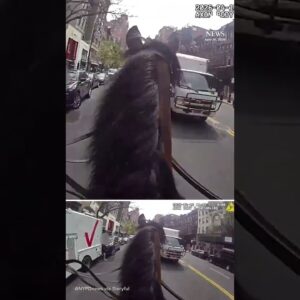 NYPD officer chases purse thief down street on horseback