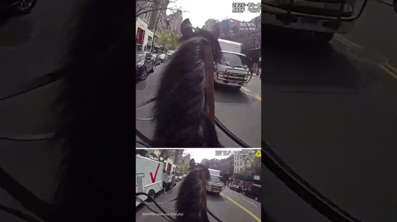 NYPD officer chases purse thief down street on horseback