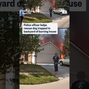 Police officer helps rescue dog trapped in backyard of burning house