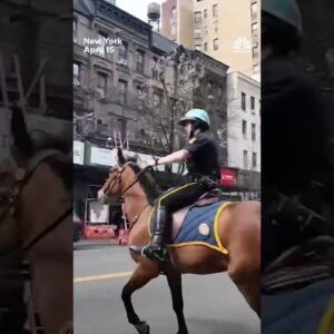 Police officer on horseback chases purse thief in New York