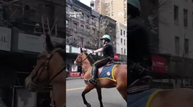 Police officer on horseback chases purse thief in New York