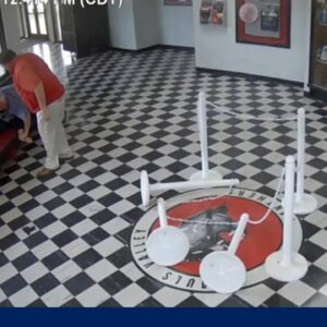 Principal stops alleged potential school shooter on surveillance video