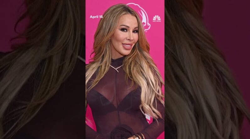 'Real Housewives of Miami' star turns herself in