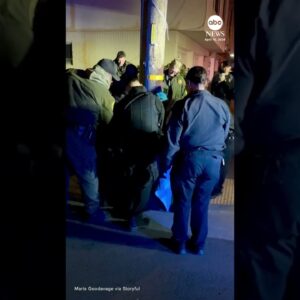 Sea lion pup rescued after wandering into San Francisco neighborhood