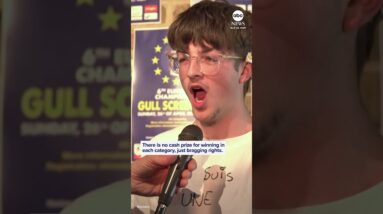 Squakers face off at annual seagull screeching contest