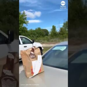 Hailstorm leaves multiple vehicles severely damaged in Missouri parking lot