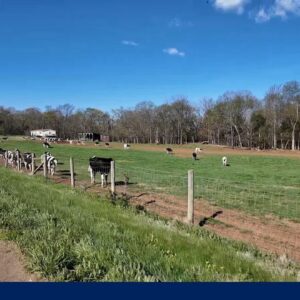 U.S farmers feel the pinch as the war in Iran drags on