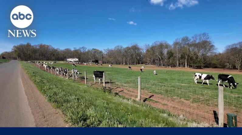 U.S farmers feel the pinch as the war in Iran drags on