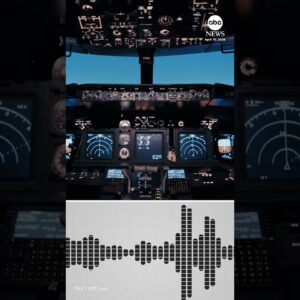 “Meow, meow!” Pilots heard making cat sounds over an air traffic control frequency