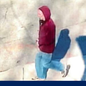 Dozens of homemade pipe bombs found in suspect's New York home, police say