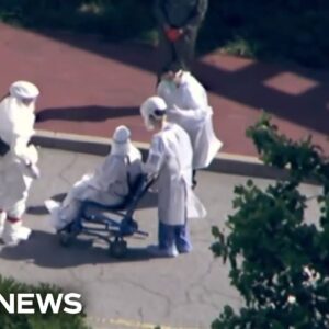 Hantavirus teaching us to ‘take appropriate precautions without freaking out’: former NIH official
