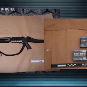 Alleged White House dinner gunman had respirator, hollow-point bullets