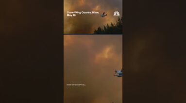 Video shows a forest fire raging as firefighting planes battle the blaze