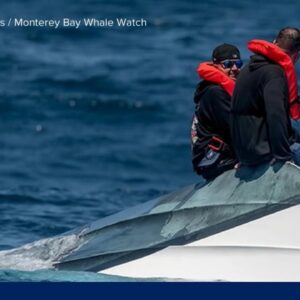 Dramatic ocean rescue off the California coast