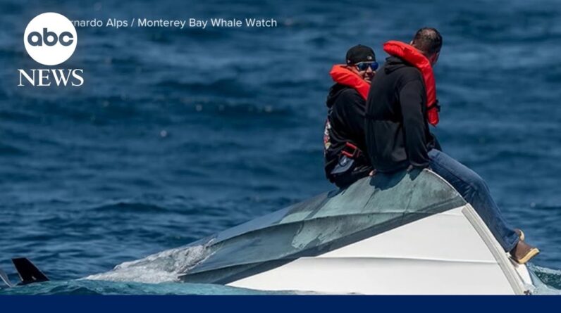 Dramatic ocean rescue off the California coast