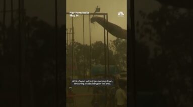 Dust storms and lightning kill at least 96 people in northern India