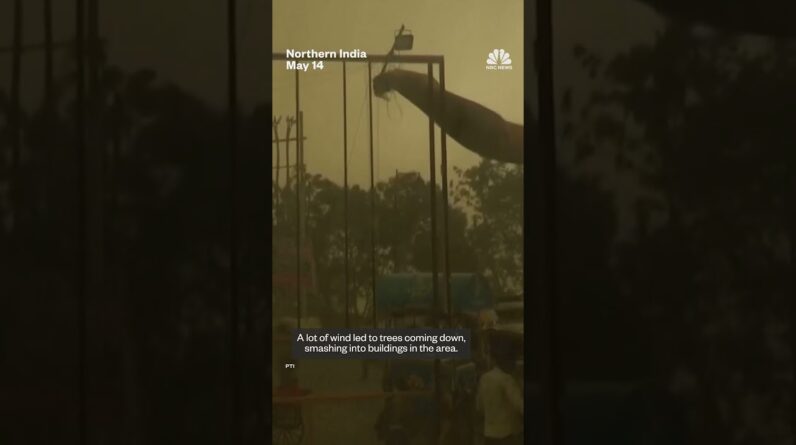 Dust storms and lightning kill at least 96 people in northern India