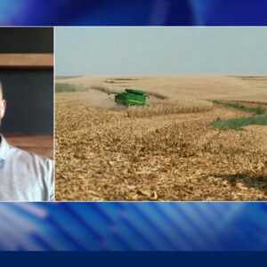 Farmer explains how US-China talks impact his profession