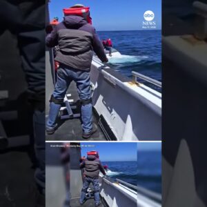 Fishermen rescued from sinking ship six miles off coast